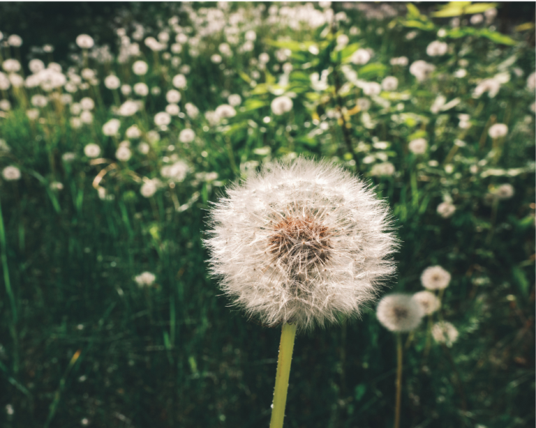 Allergies & Air Conditioning.